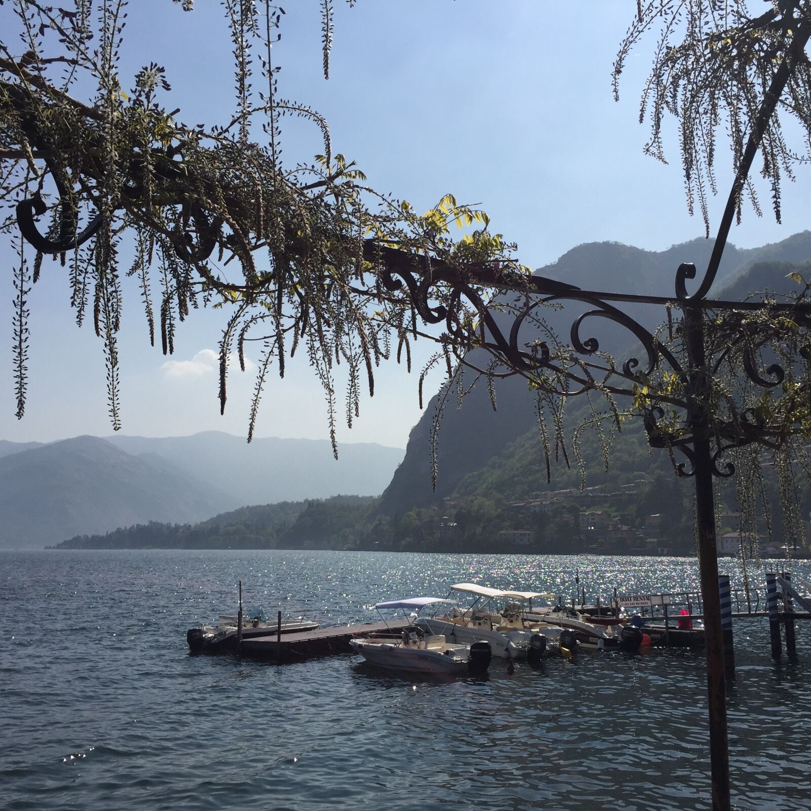 Apple iPhone 6 sample photo. Lake como, lombardy, april photography
