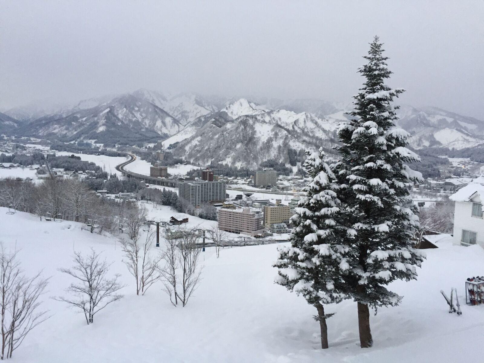 iPhone 6 back camera 4.15mm f/2.2 sample photo. Winter, snow, pine photography