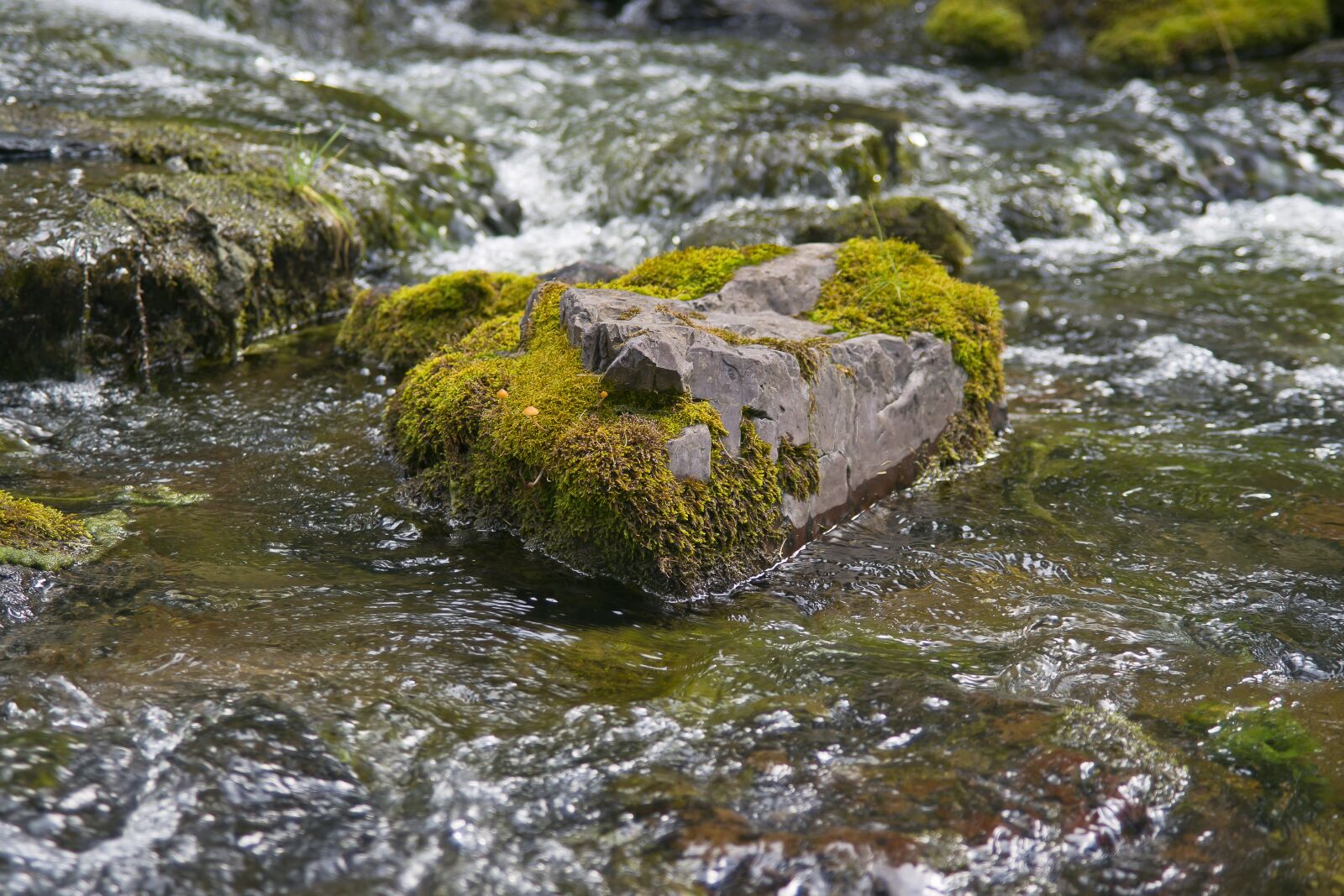 Sony Alpha DSLR-A850 sample photo. Siberia, altai, river photography