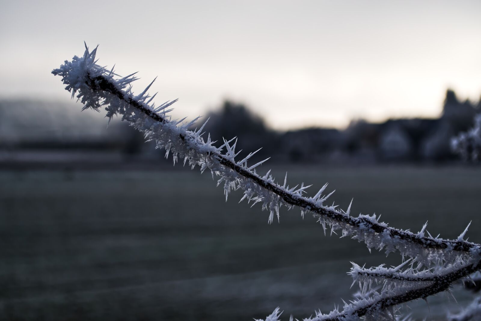 Nikon D5500 sample photo. Ice, winter, snow photography