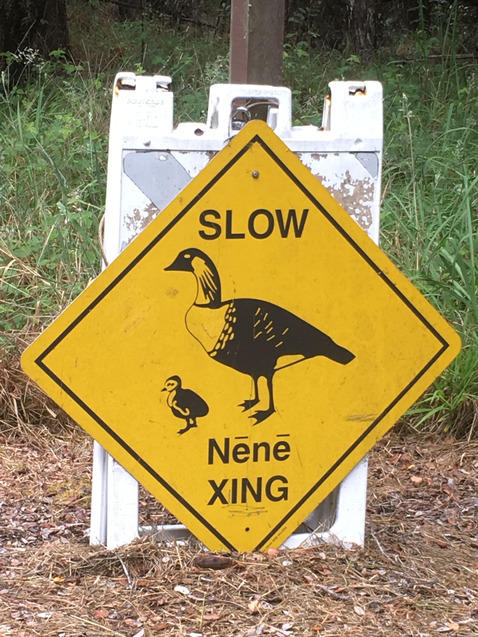 Apple iPhone 6s sample photo. Nene, sign, volcanoes national photography
