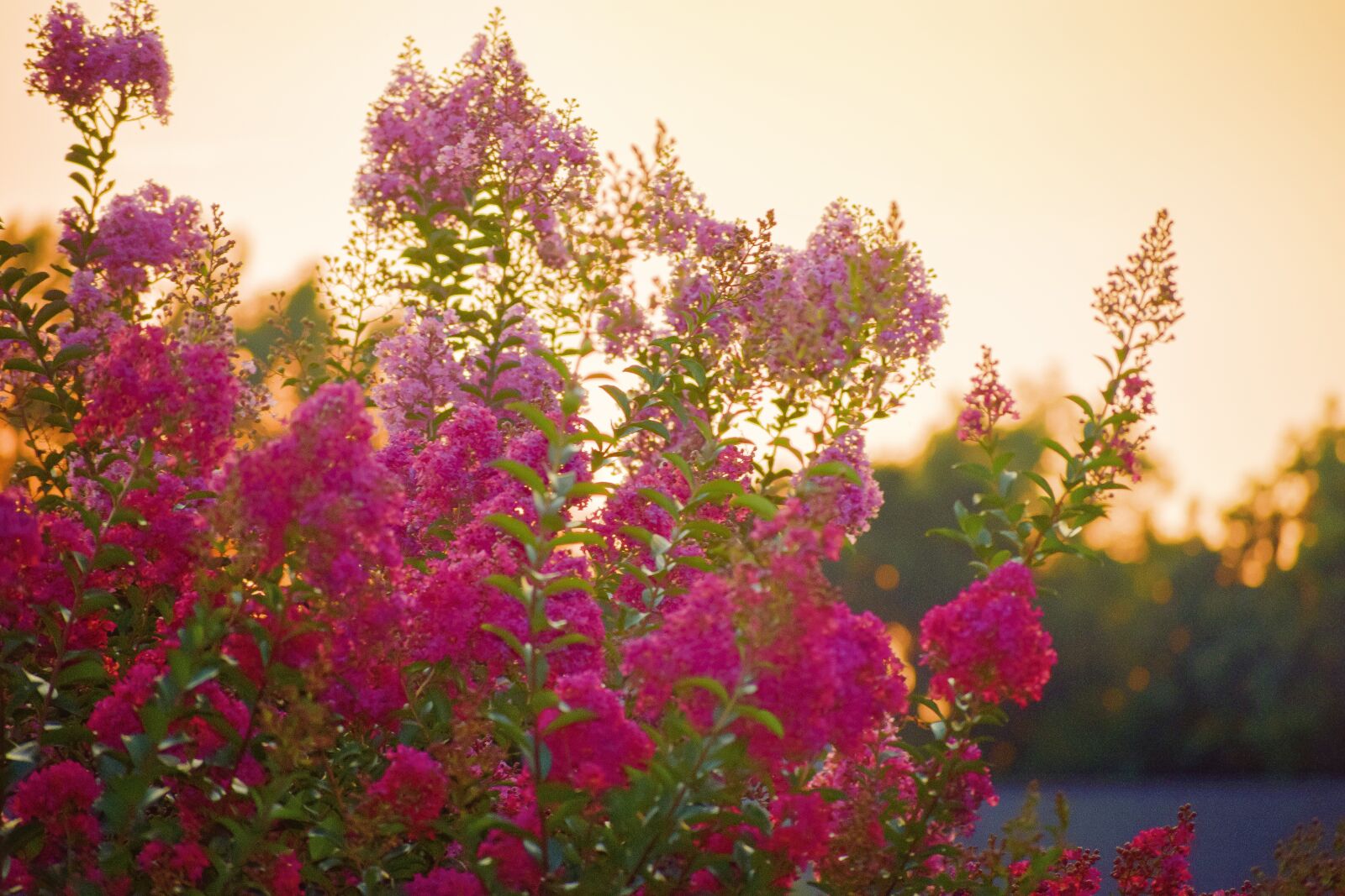 Nikon D5300 sample photo. Sunset, sunshine, sun photography