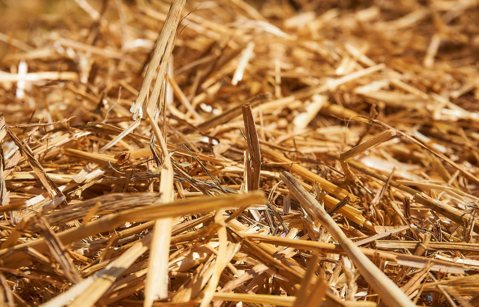 Sony a6000 sample photo. Straw, straw bales, pile photography