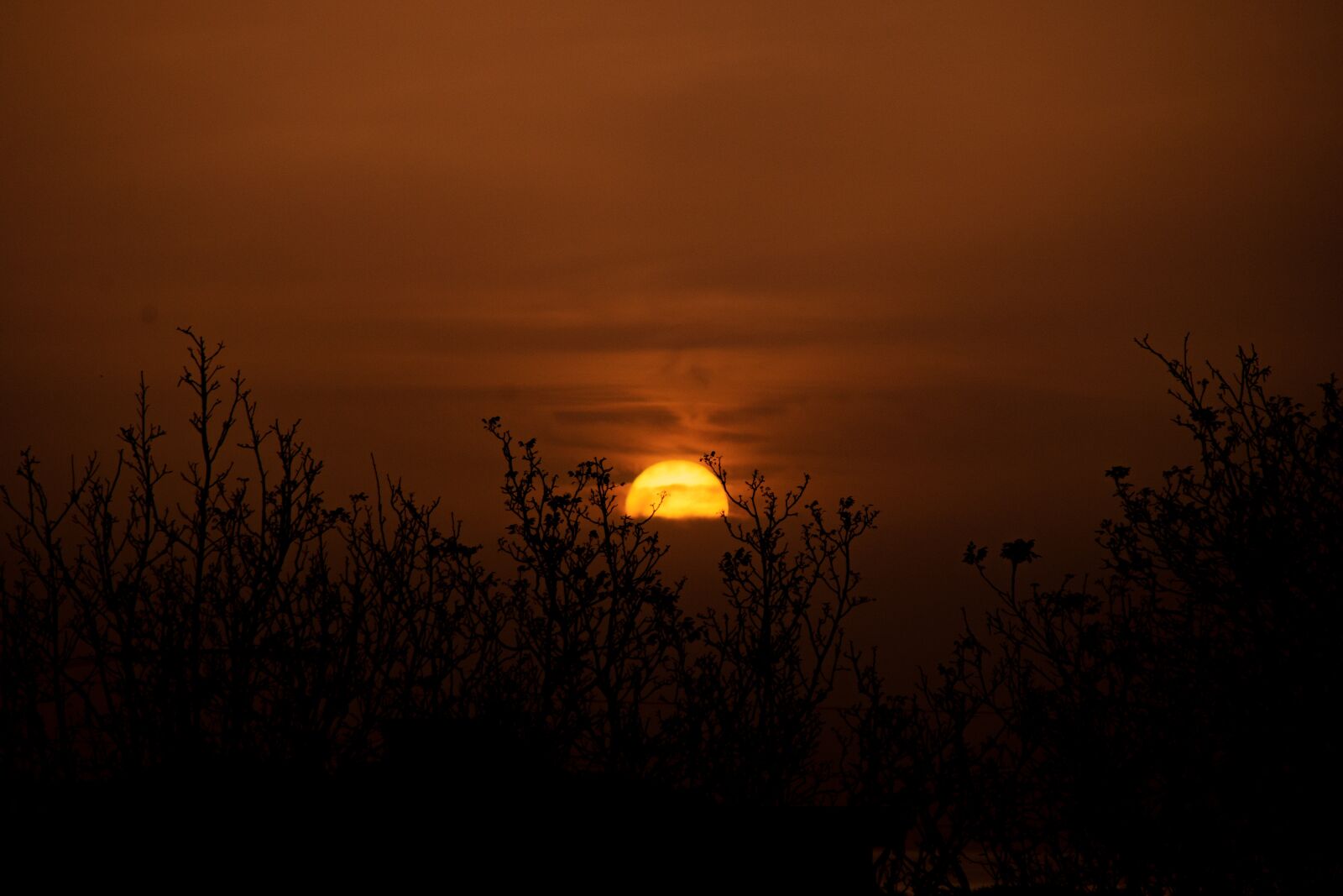 Tamron 18-200mm F3.5-6.3 Di II VC sample photo. Sunset, naples, nature photography