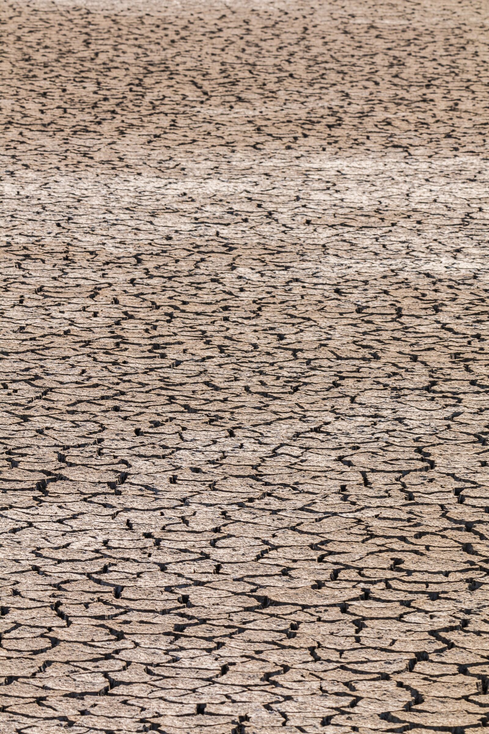 150-600mm F5-6.3 DG OS HSM | Contemporary 015 sample photo. Drought, ground, cracks photography