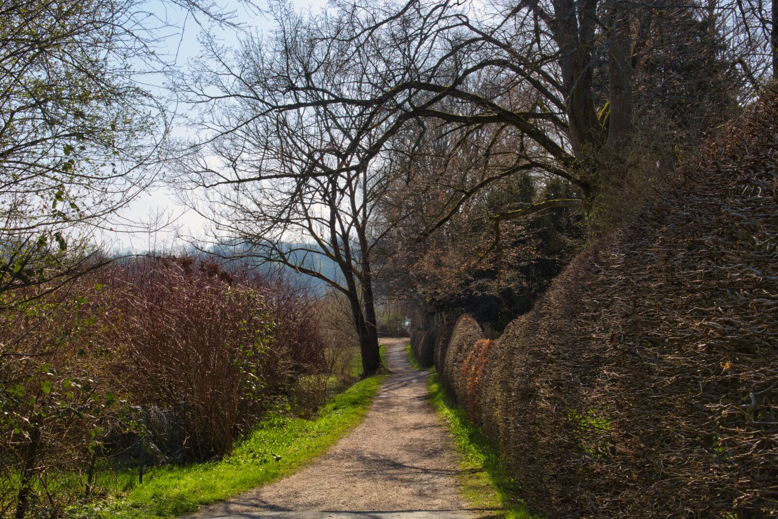 Nikon D7100 sample photo. Spring, away, path photography