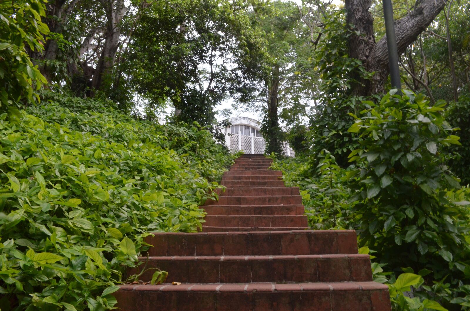Nikon D5100 sample photo. Stairs, path, garden photography
