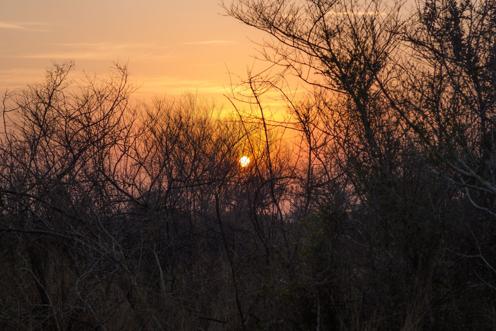 Canon EF 50mm F1.8 II sample photo. Sunset, sun, clouds photography