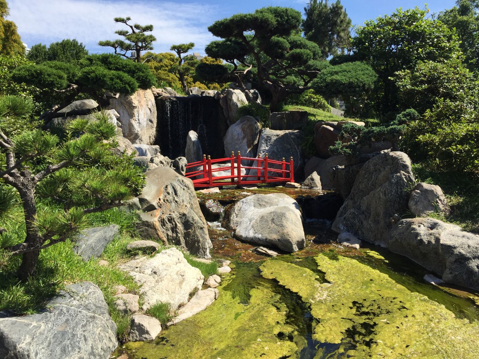 iPhone 6 back camera 4.15mm f/2.2 sample photo. Green, japone, jardin photography
