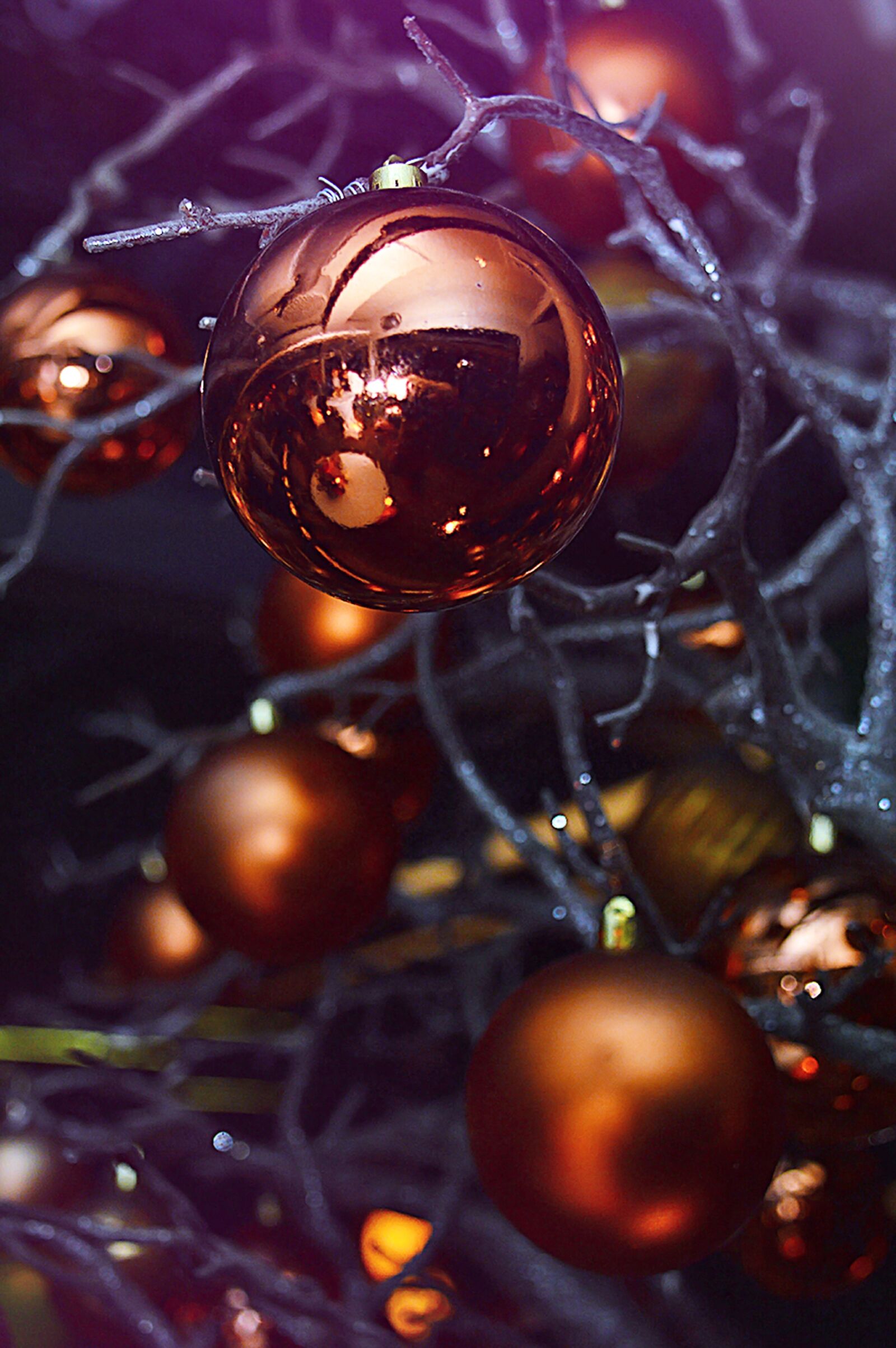 Nikon D3200 sample photo. Xmas, glitter, winter photography
