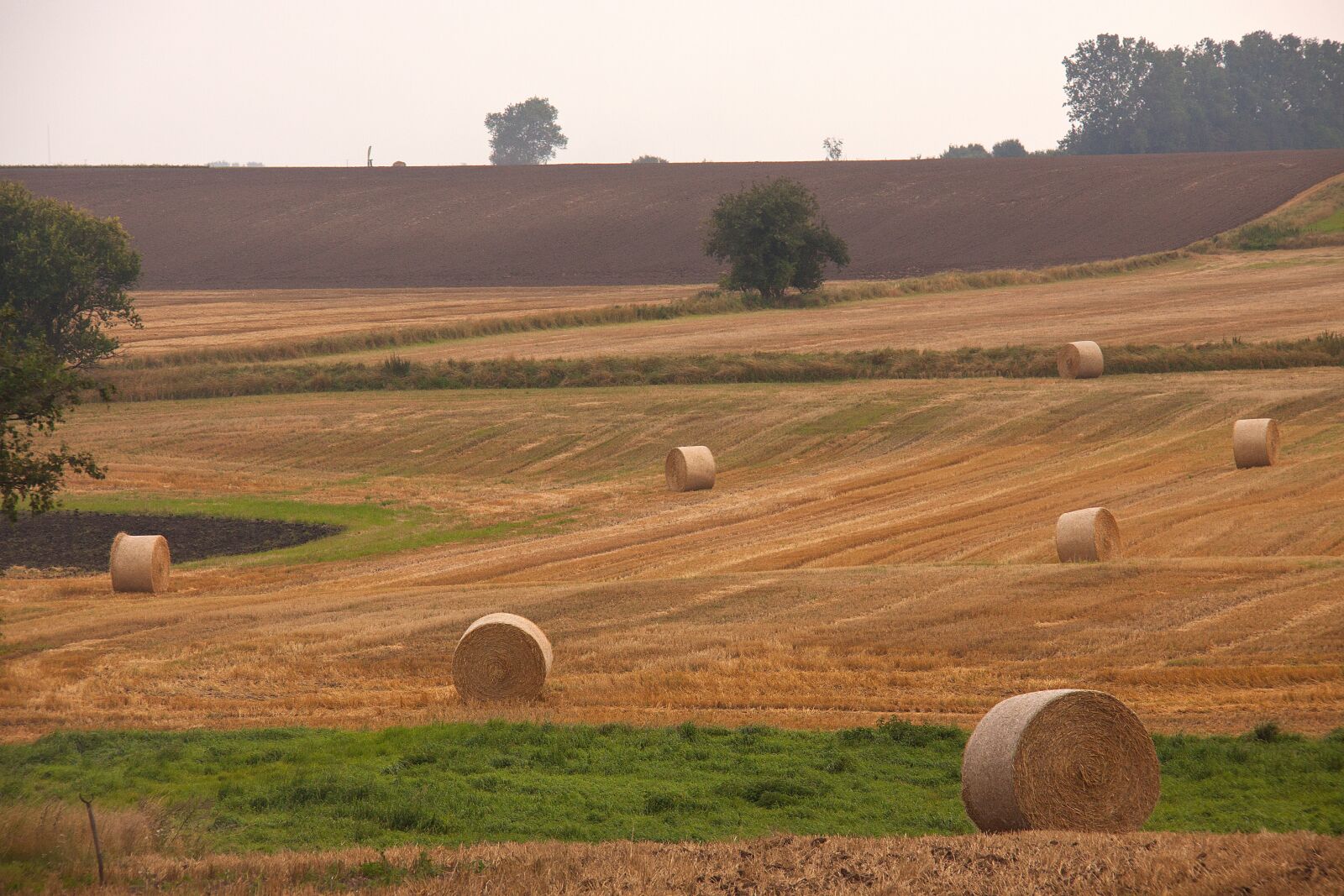 Canon EOS 50D sample photo. Harvest, field, hay-balls photography