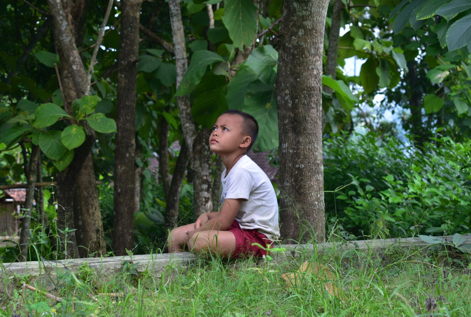 Nikon D3400 sample photo. Child, kid, daydream photography