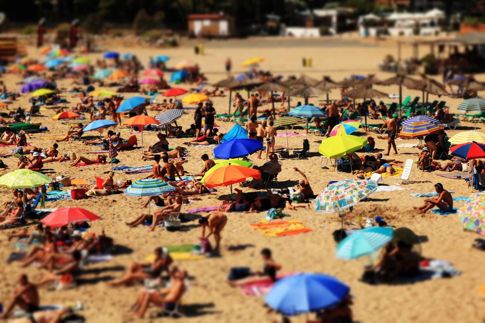 Canon EOS 750D (EOS Rebel T6i / EOS Kiss X8i) sample photo. Beach, outdoors, people photography