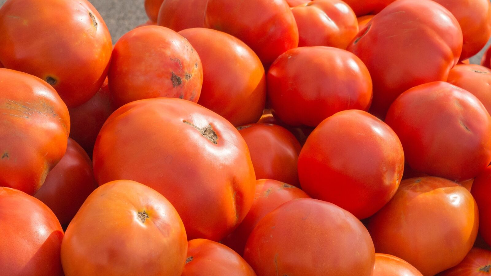Nikon D4 sample photo. Tomatoes, fruit, food photography