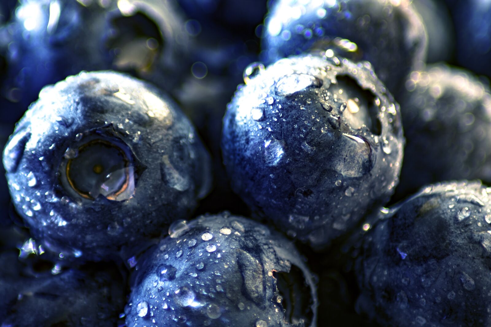 Canon EOS 750D (EOS Rebel T6i / EOS Kiss X8i) sample photo. Blueberry, black berry, moll photography