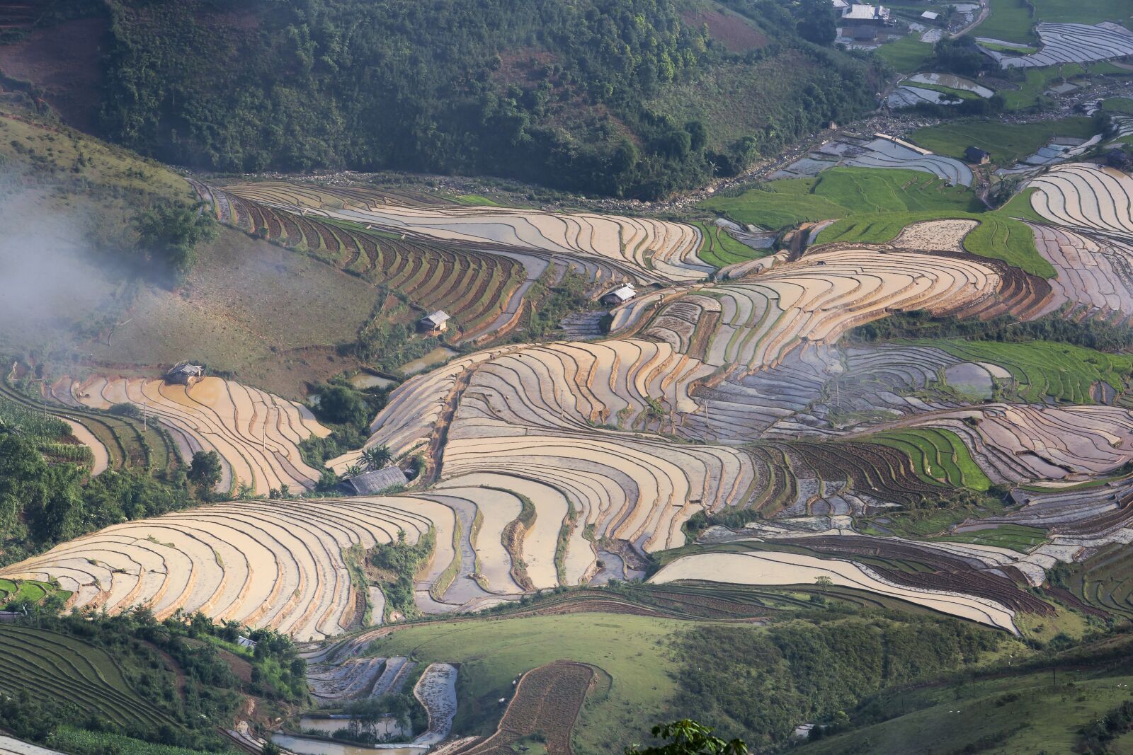Canon EOS 5D Mark III sample photo. Blind stretch comb, lao photography
