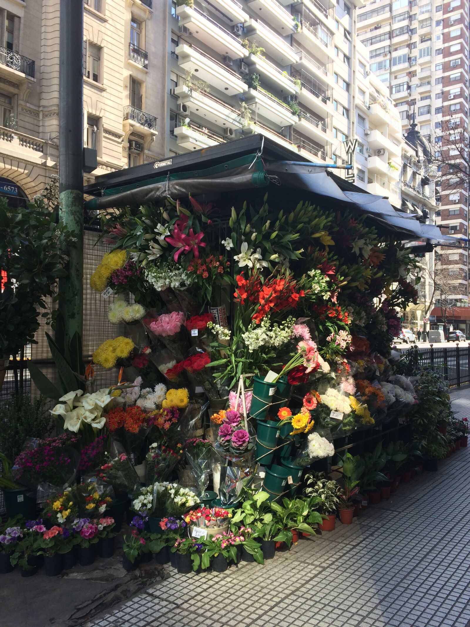 iPhone 5s back camera 4.15mm f/2.2 sample photo. Buenos aires, flower kiosk photography