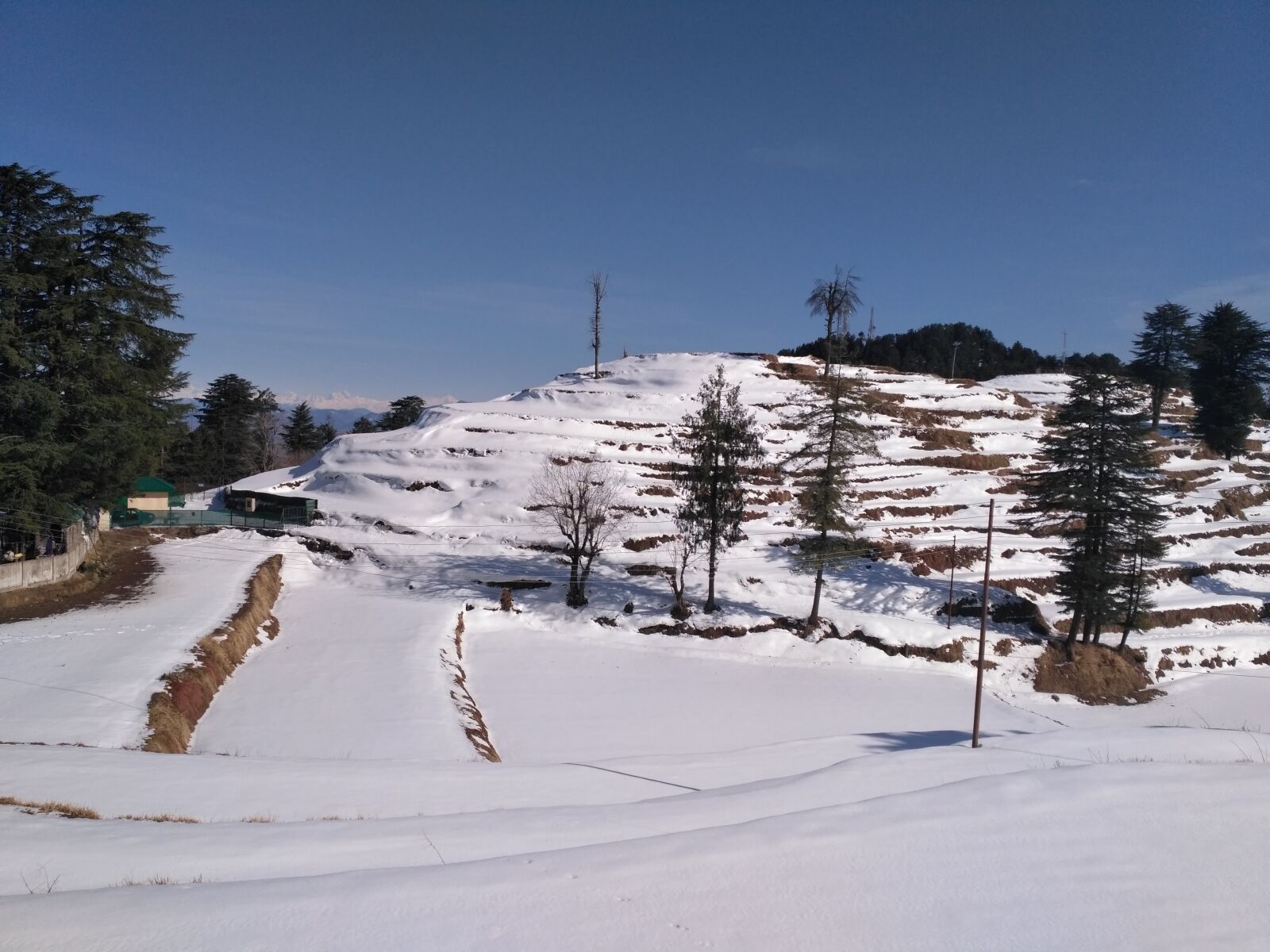 Xiaomi Redmi 3S sample photo. Himachal pradesh, shimla, kufri photography