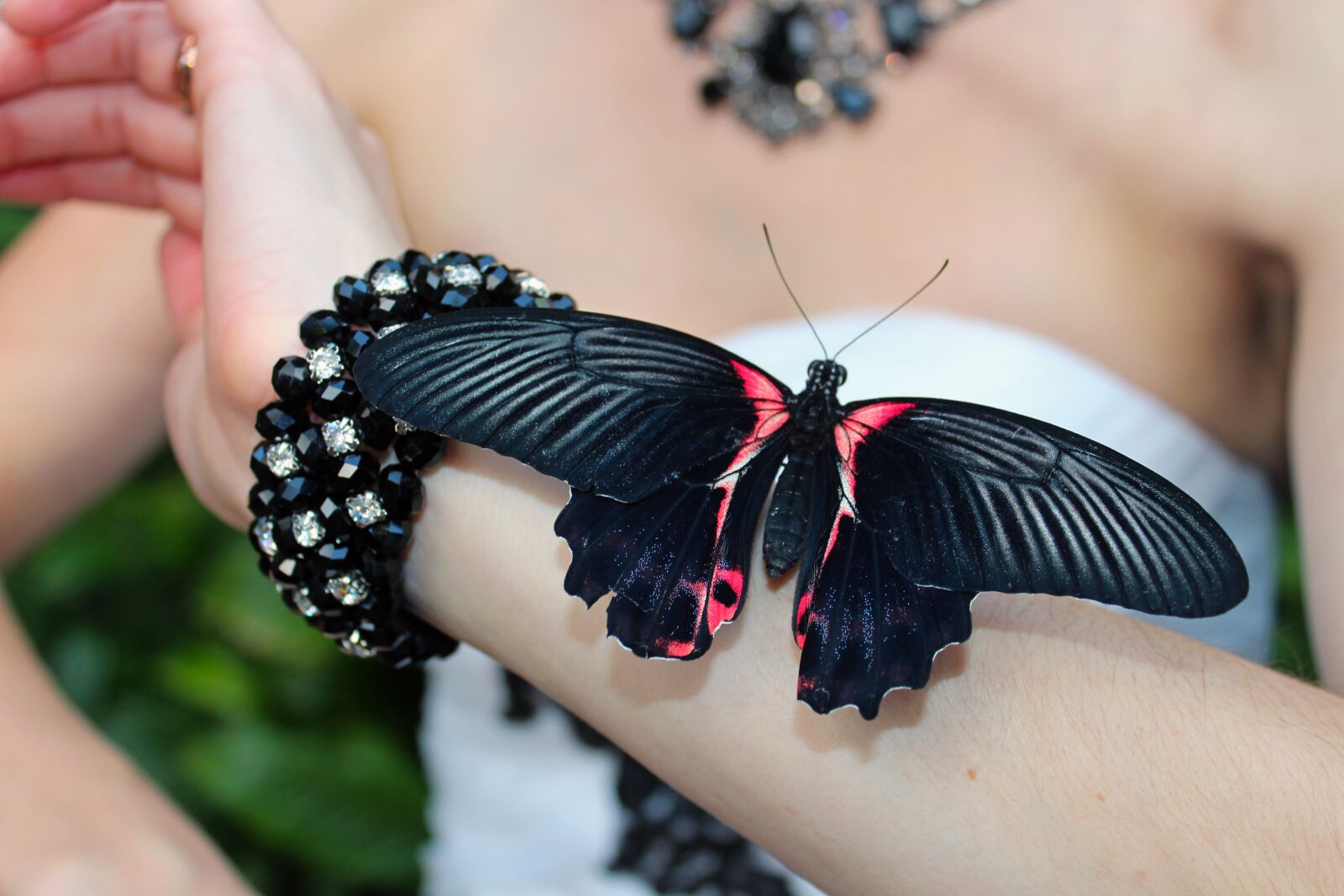 Canon EOS 650D (EOS Rebel T4i / EOS Kiss X6i) sample photo. Girl, butterfly, bracelet photography
