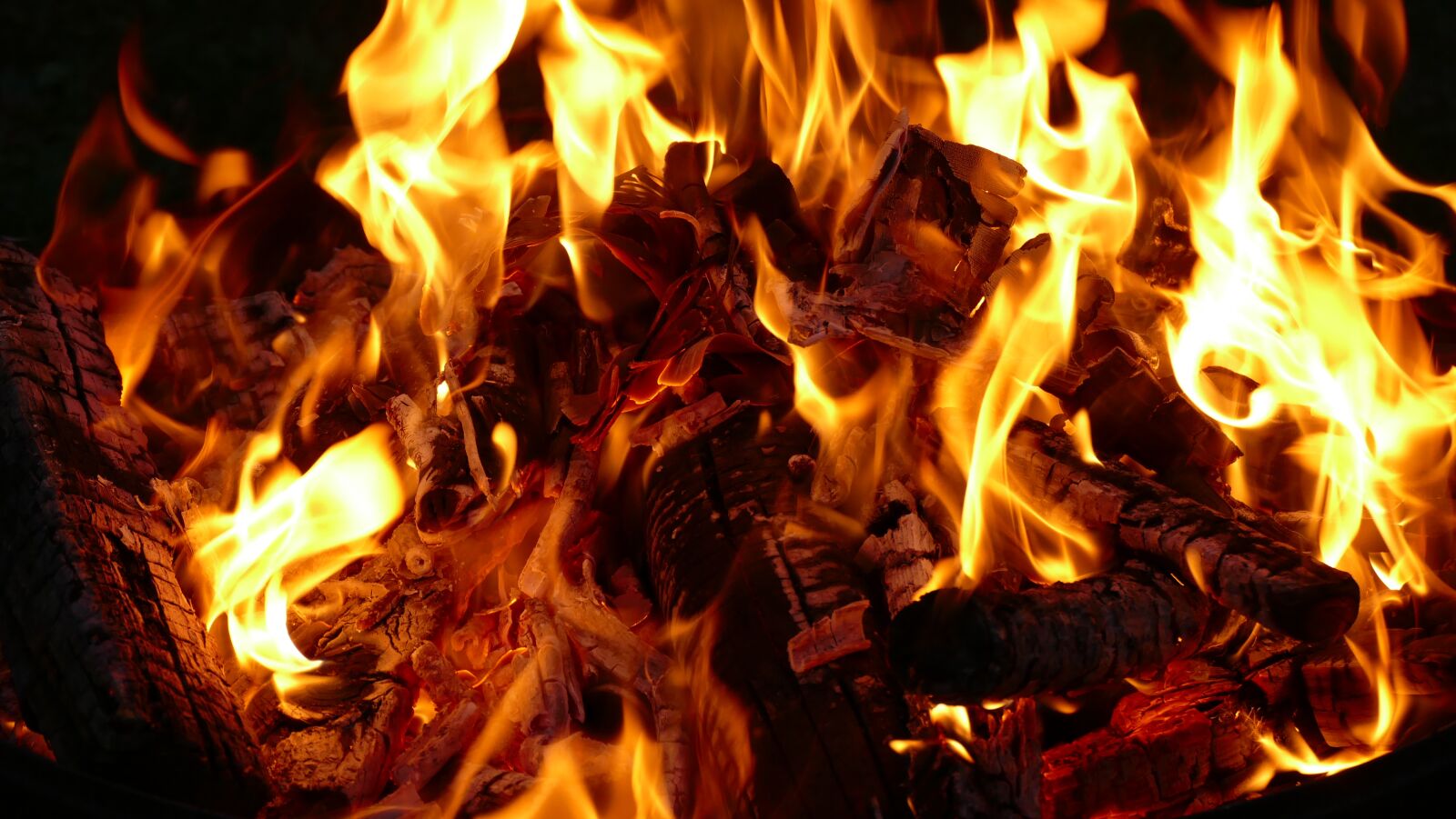 Panasonic Lumix DMC-FZ1000 sample photo. Fire, fire bowl, night photography