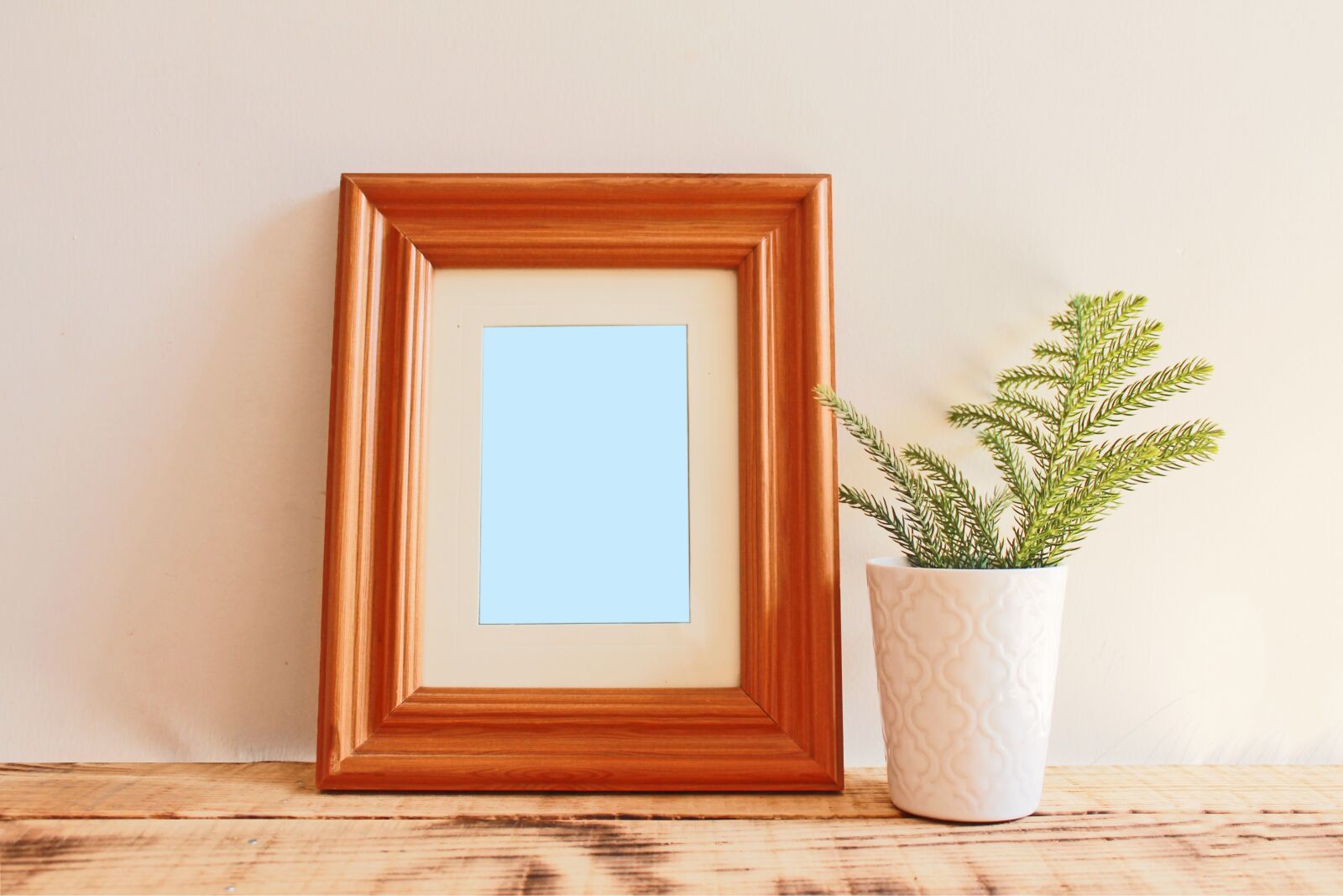 Canon EOS 1100D (EOS Rebel T3 / EOS Kiss X50) sample photo. Frame, mockup, photo photography