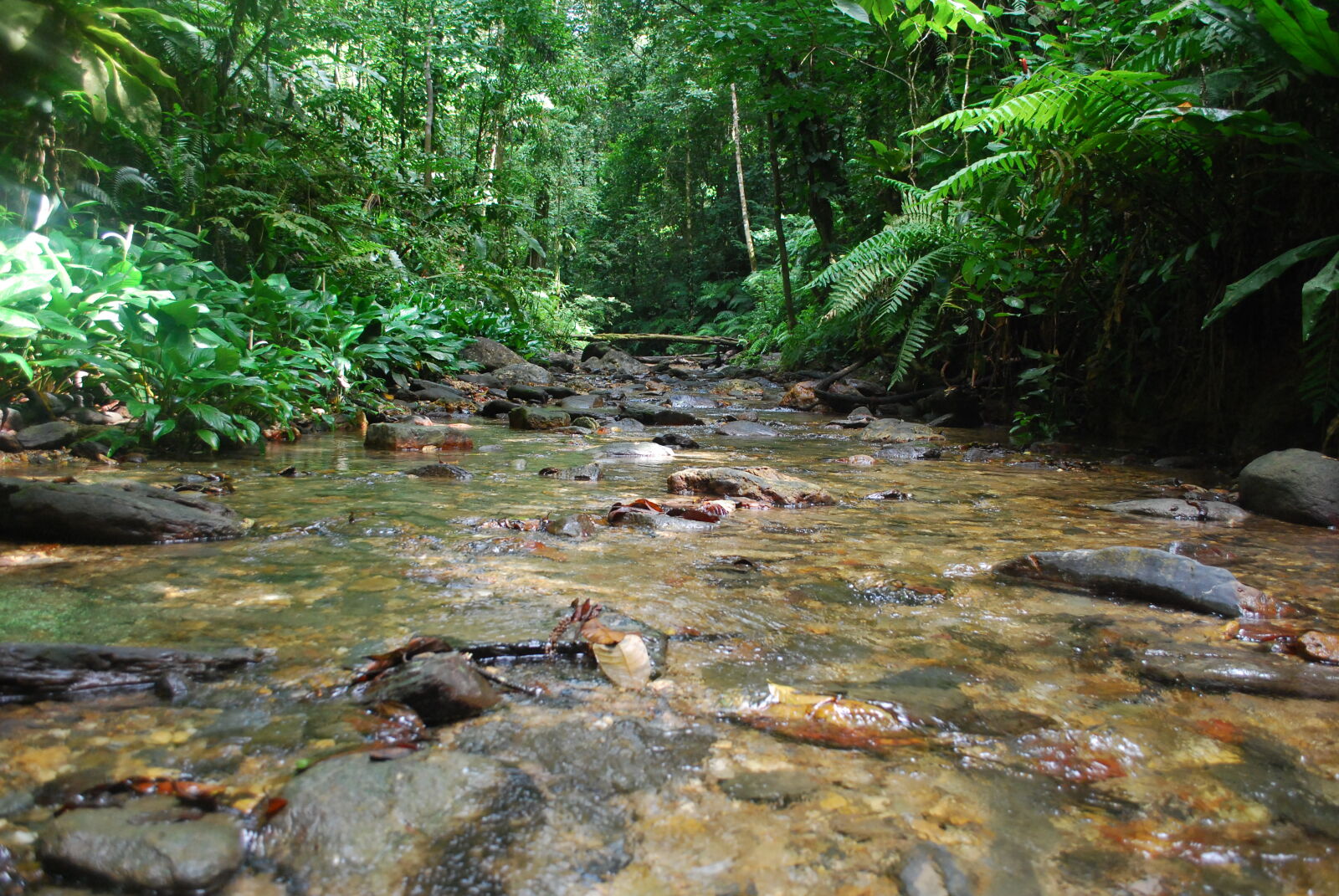 Nikon D60 sample photo. Hike, island, mountain, river photography