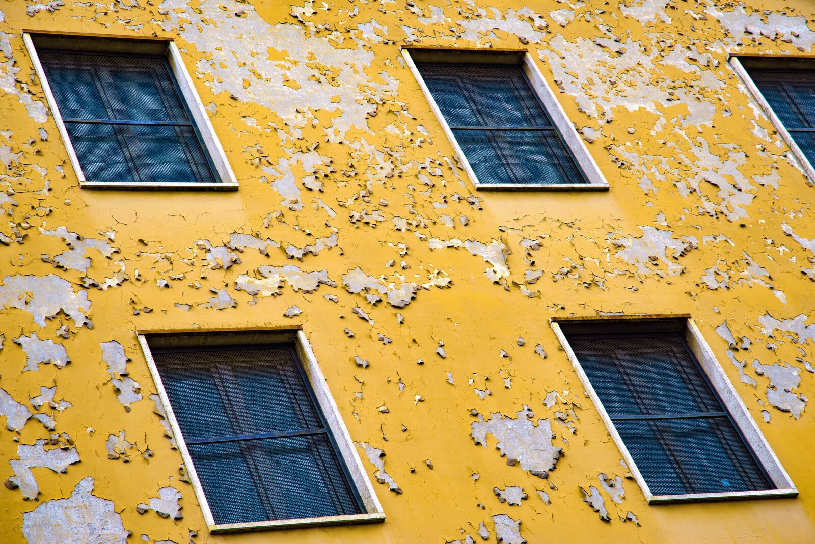 Pentax K-1 Mark II sample photo. Facade, architecture, building photography