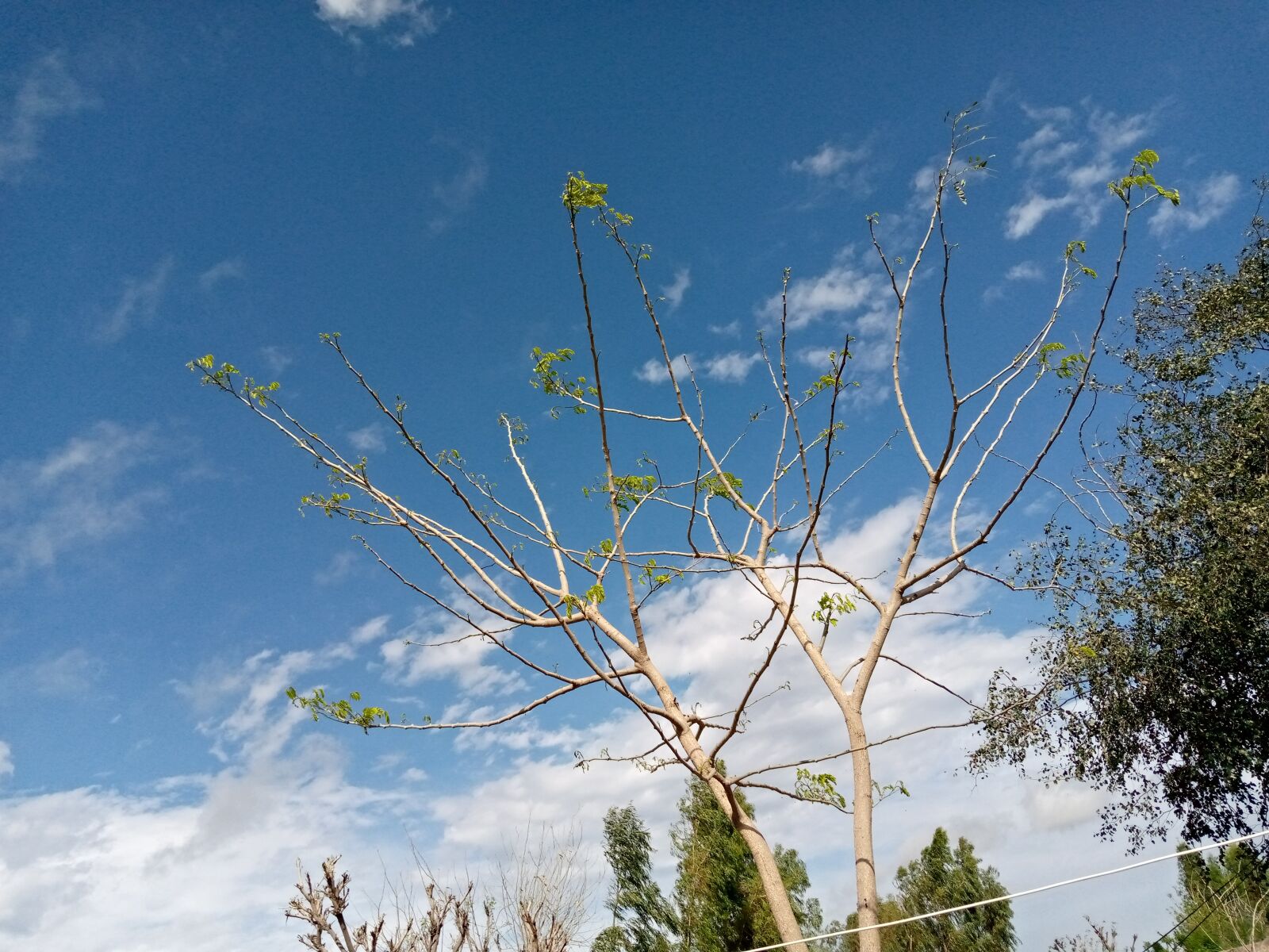 TECNO MOBILE LIMITED TECNO KC2 sample photo. It, was, an photography
