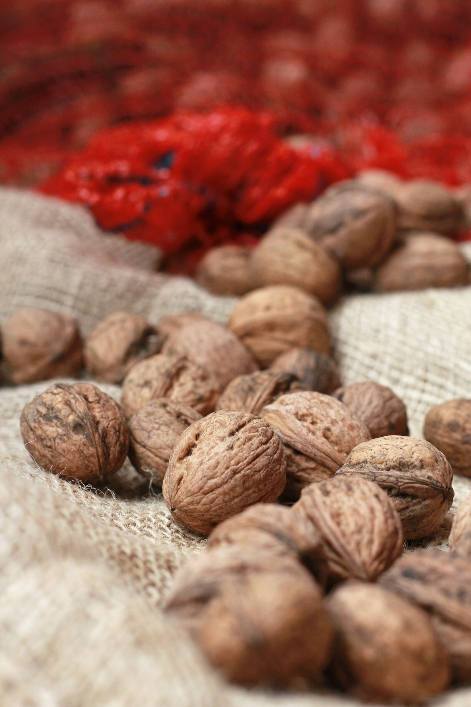 Canon EOS 40D sample photo. Nut, bag, food photography