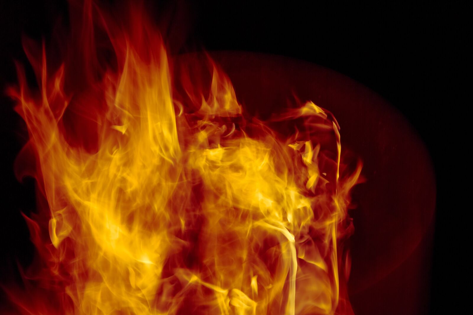 Canon EF 24-70mm F2.8L II USM sample photo. Ablaze, abstract, afire photography