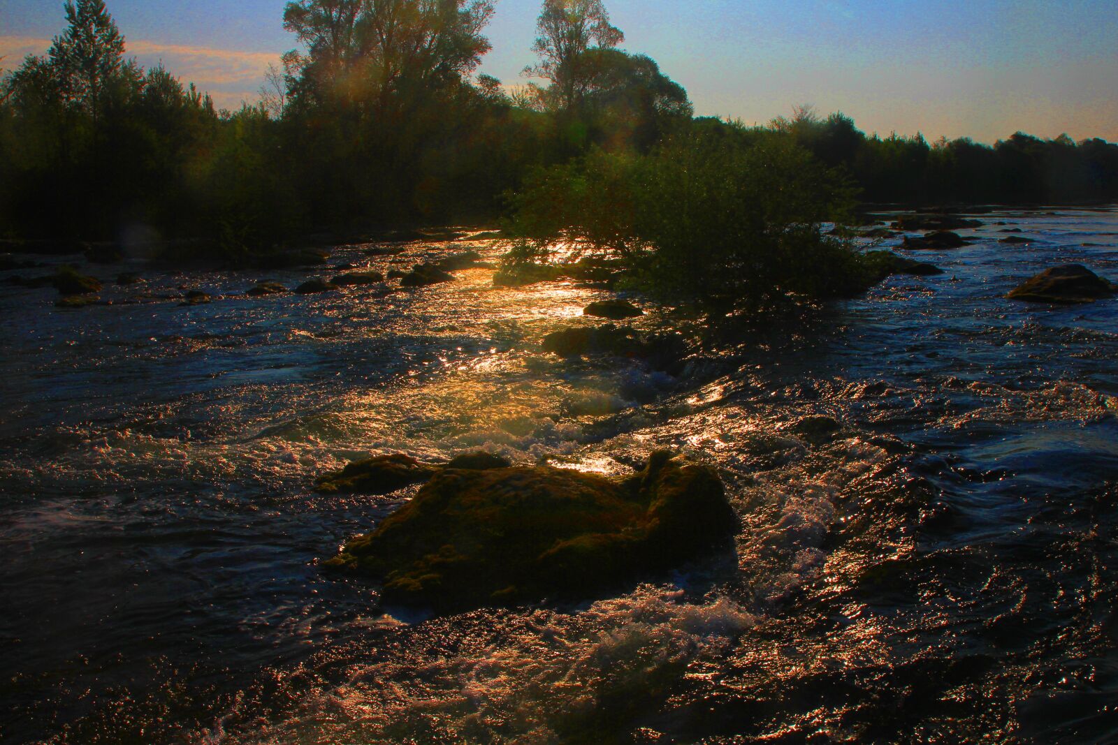 Canon EOS 550D (EOS Rebel T2i / EOS Kiss X4) sample photo. Morning, sun, rhine photography