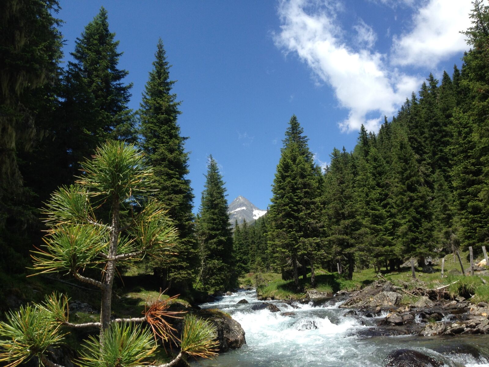 iPhone 5 back camera 4.12mm f/2.4 sample photo. East tyrol, debanttal, tyrol photography