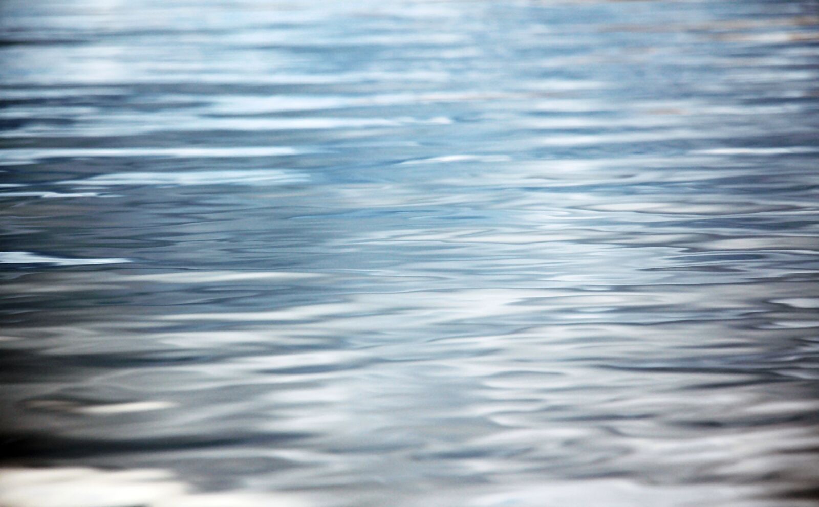 Canon EOS 550D (EOS Rebel T2i / EOS Kiss X4) sample photo. Texture, background, structure photography