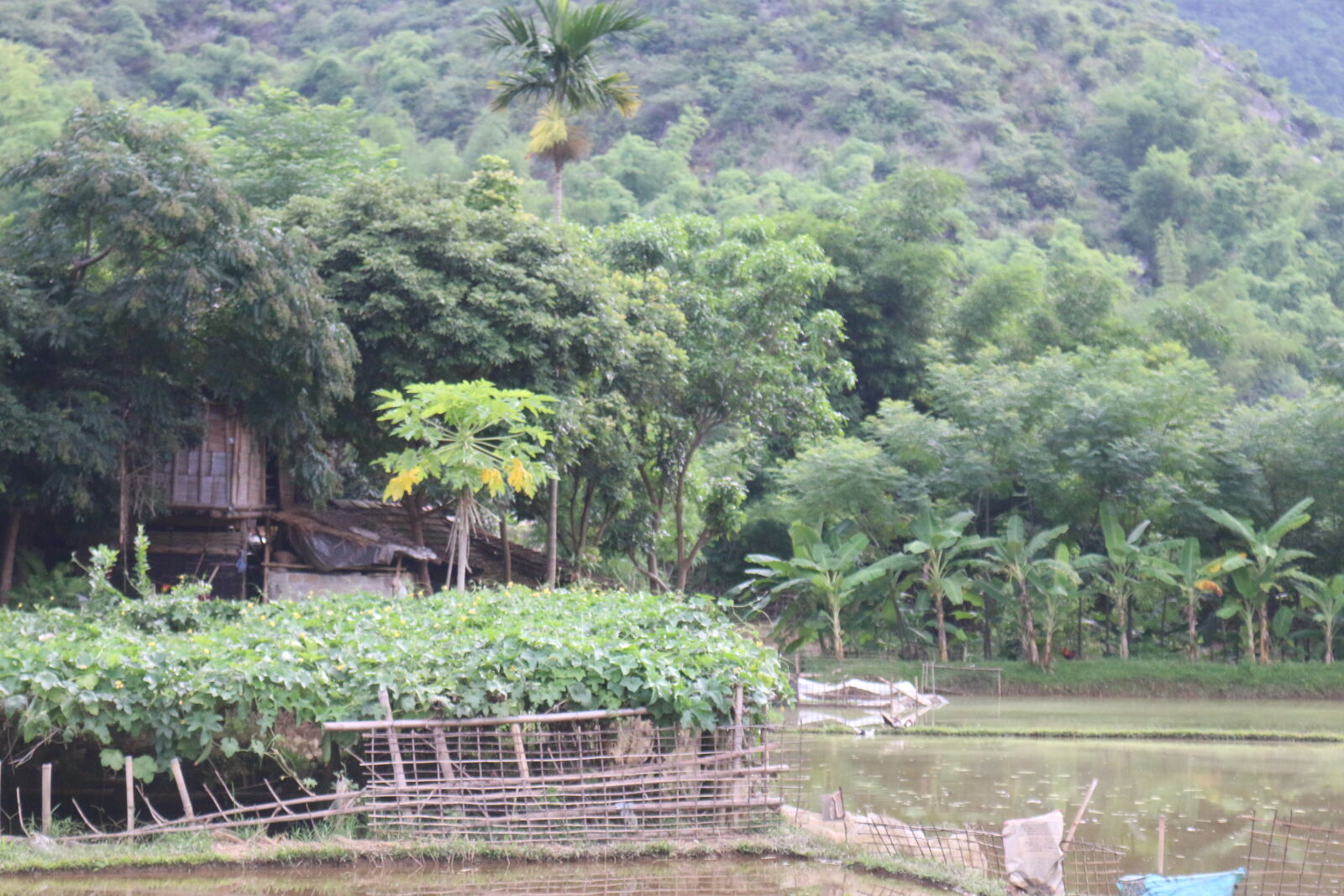 Canon EOS 70D sample photo
