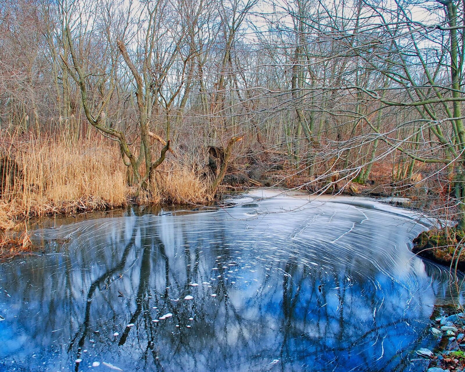 Nikon D80 sample photo. Swamp, marsh, wetland photography