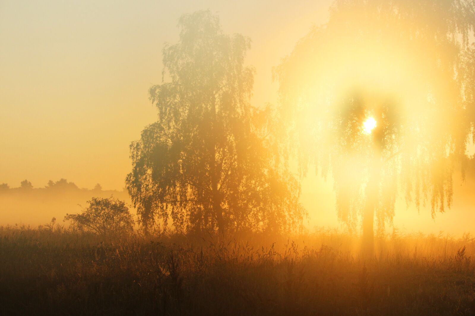 Canon EF-S 55-250mm F4-5.6 IS STM sample photo. Sunrise, morning mist, mood photography