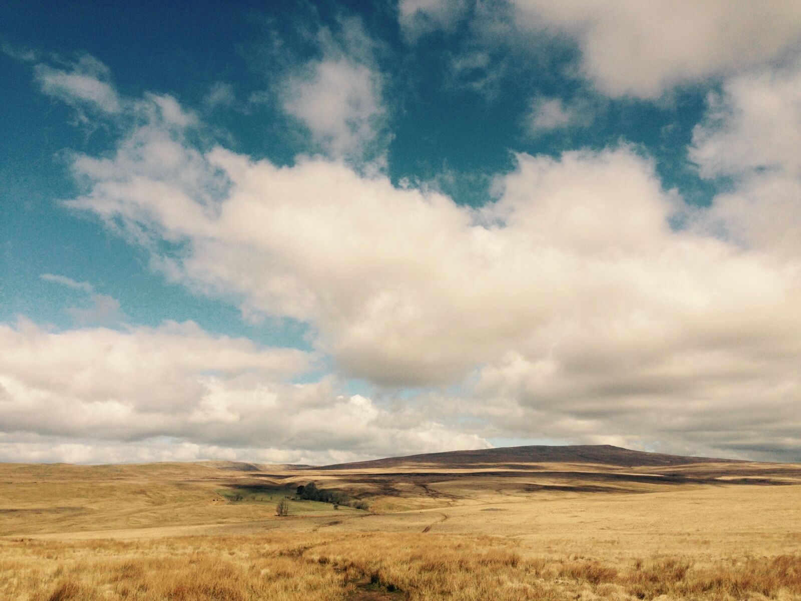 iPhone 5 back camera 4.12mm f/2.4 sample photo. Wales, brecon beacons, brecon photography
