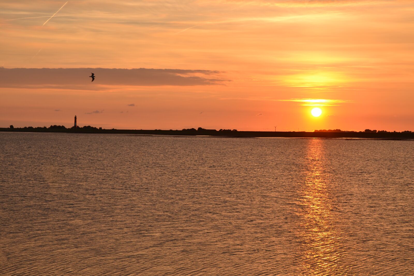 Nikon D3100 sample photo. North sea, sunset, pellworm photography