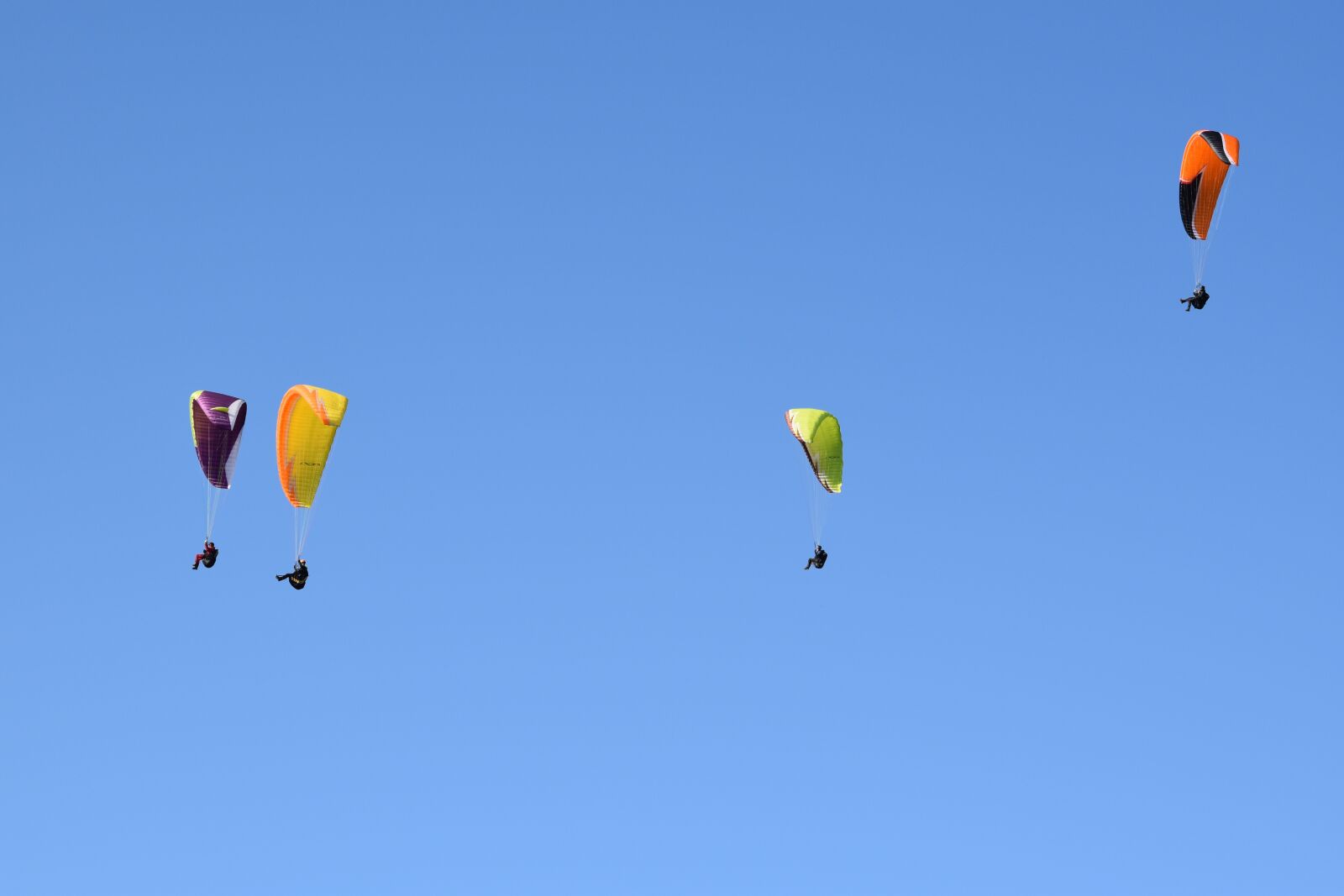 Nikon D5600 sample photo. Paragliding, paraglider, paragliders paragliders photography