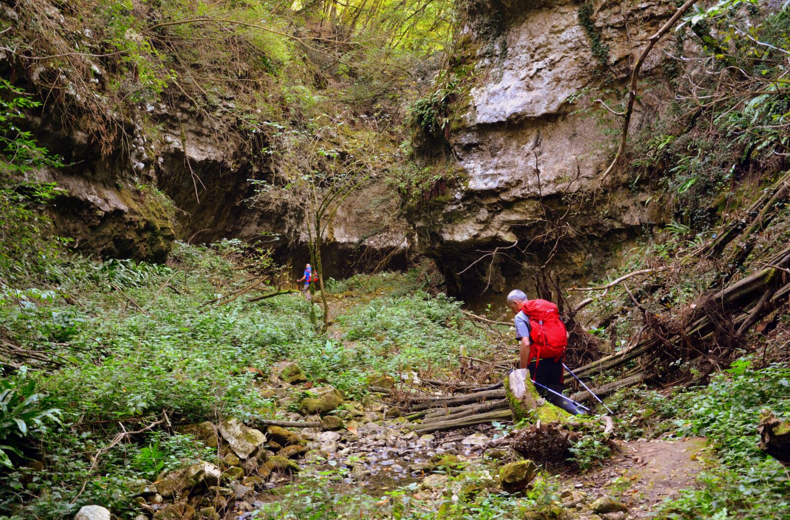 Nikon D7100 sample photo. Excursion, forest, val borago photography