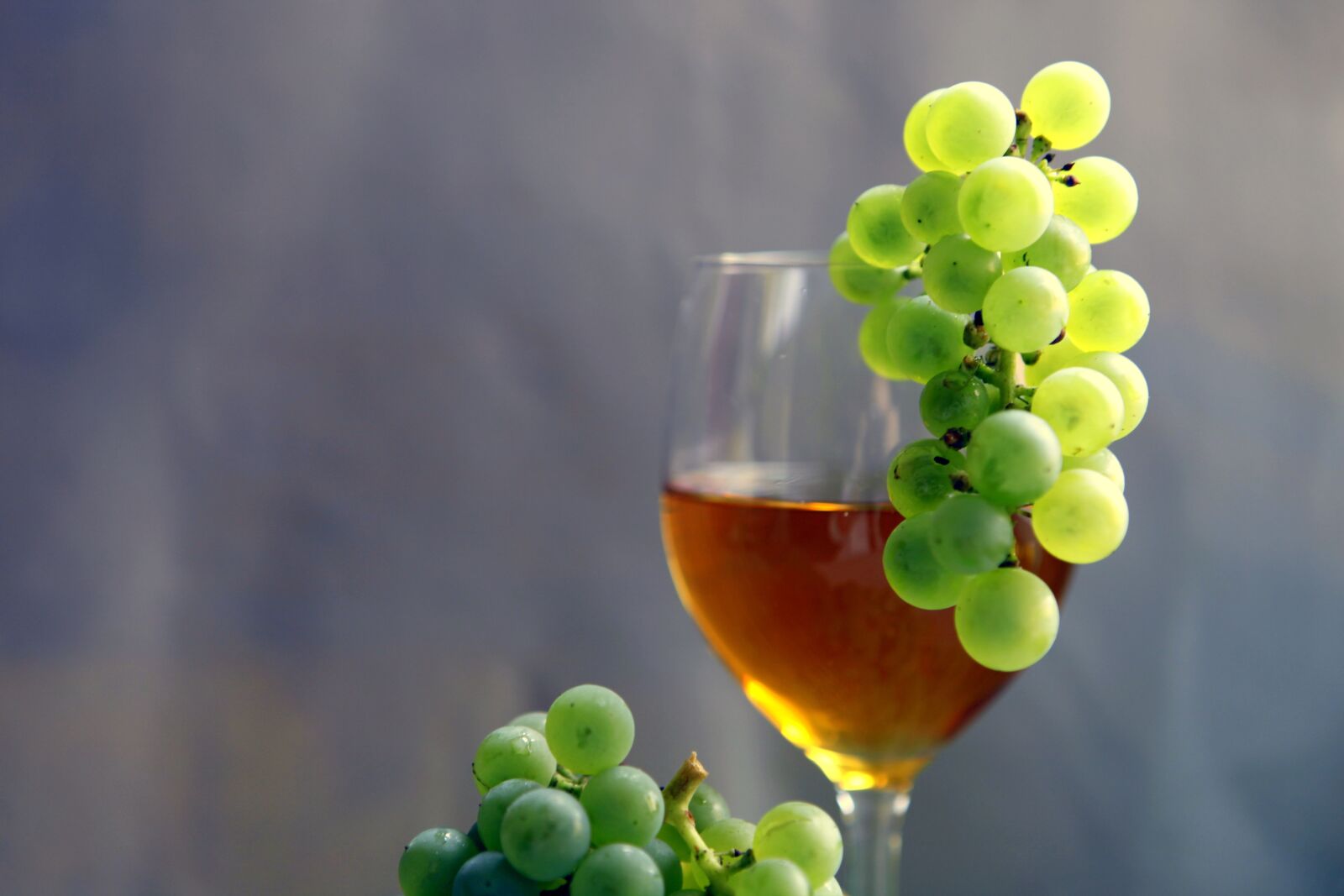Canon EOS 5D Mark II sample photo. Wine, vintage, vines photography