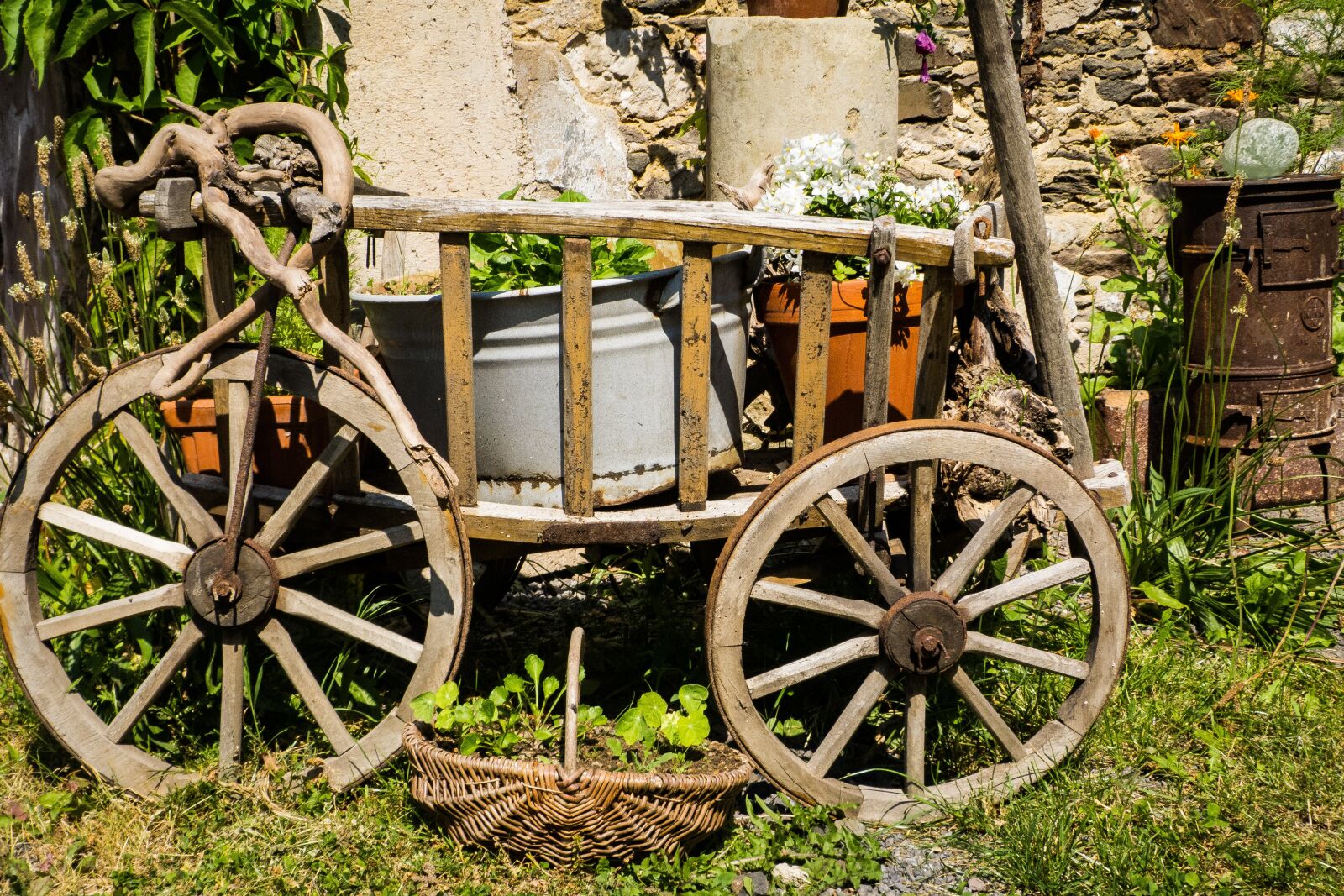 Panasonic Lumix DMC-FZ40 (Lumix DMC-FZ45) sample photo. Handcart, deco, garden photography