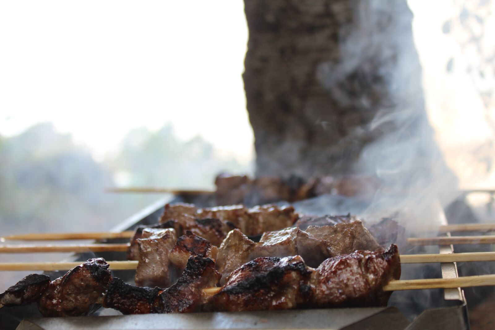 Canon EOS 600D (Rebel EOS T3i / EOS Kiss X5) sample photo. Smoke, flame, barbecue photography