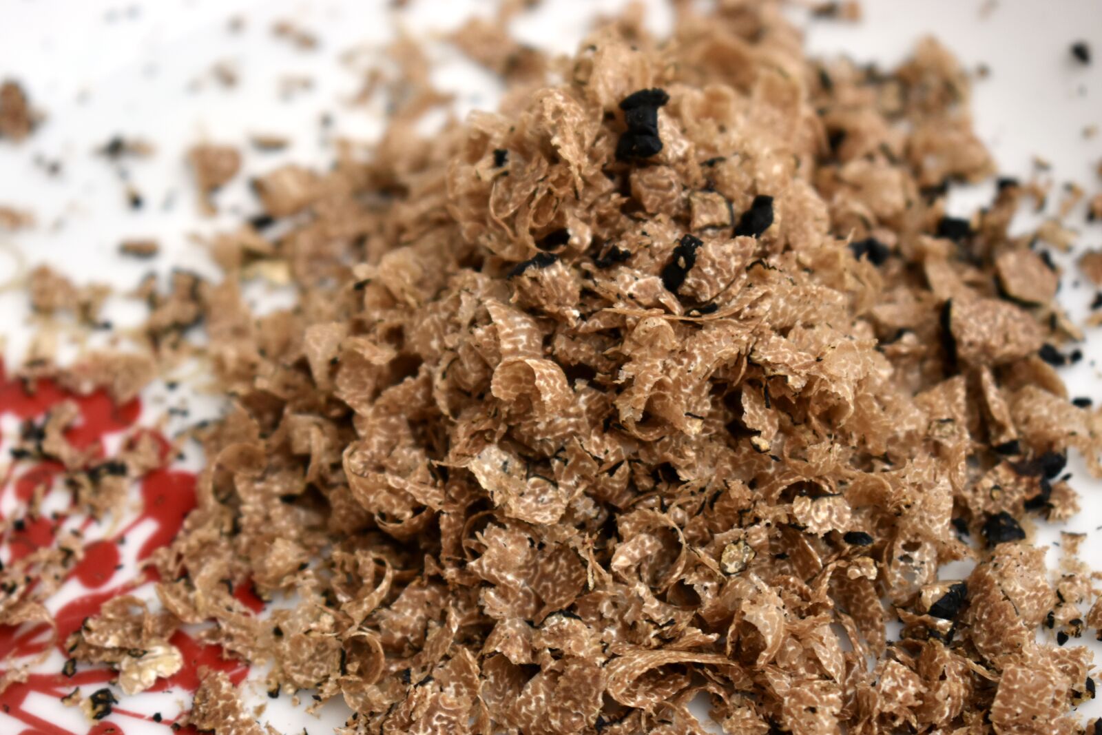 Nikon D5600 sample photo. Truffle, shavings, grated photography