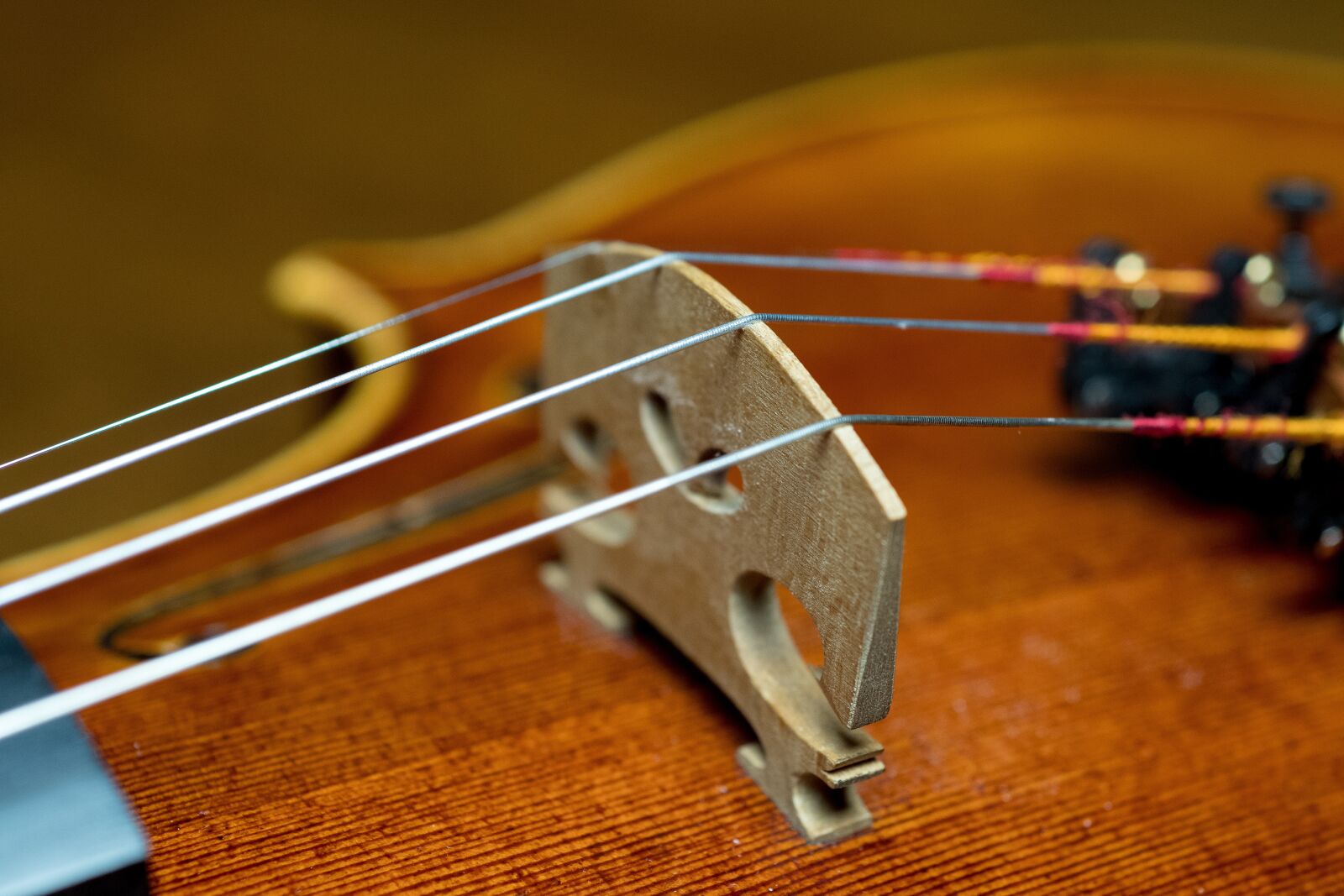Nikon D500 sample photo. Bowed stringed instrument, instrument photography