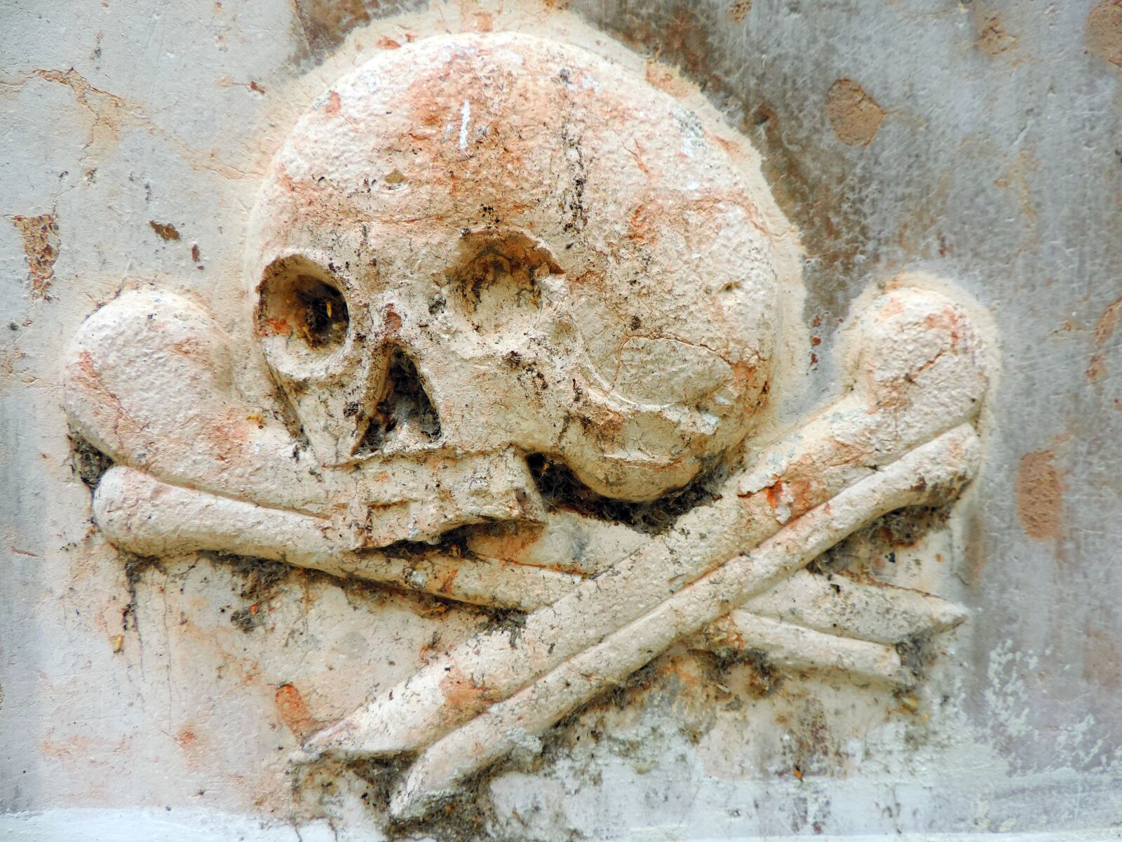 Nikon Coolpix P520 sample photo. Bone, cemetery, religion, religious photography