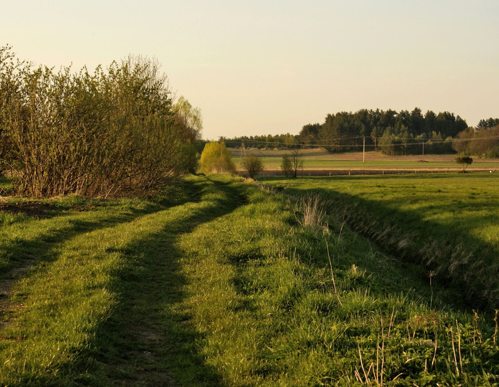 Sony Alpha DSLR-A100 sample photo. Lane, meadow, field photography