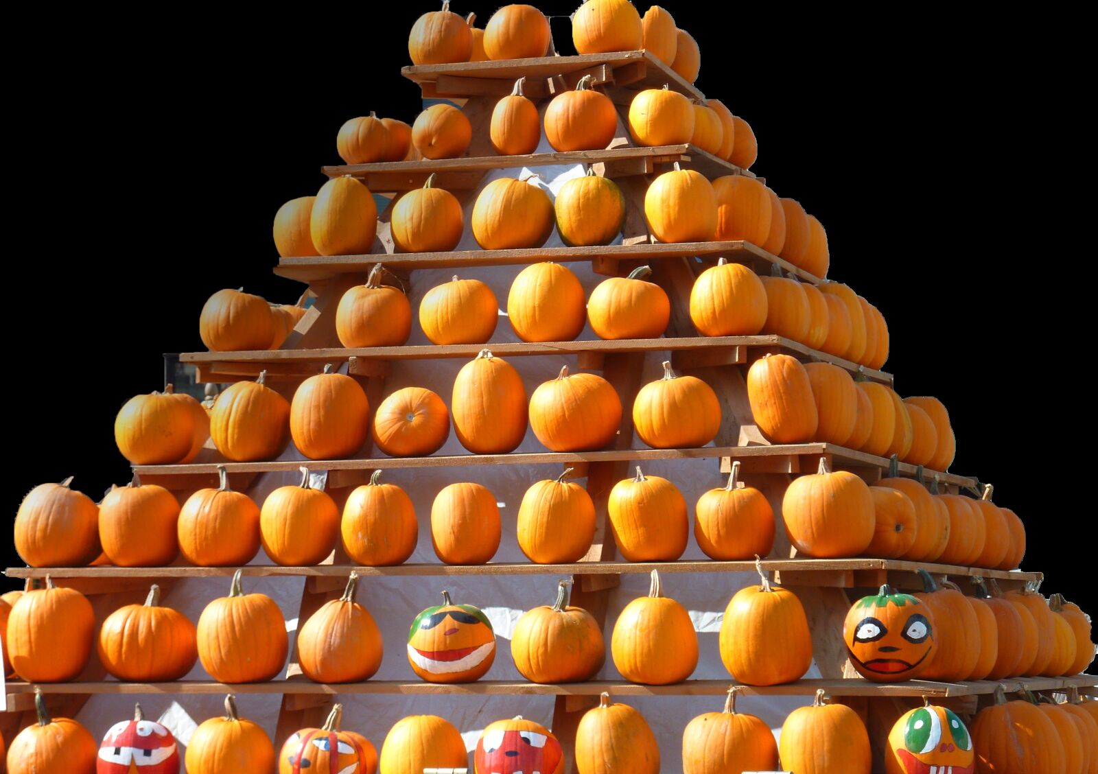 Panasonic DMC-TZ7 sample photo. Thanksgiving, halloween, pumpkin photography