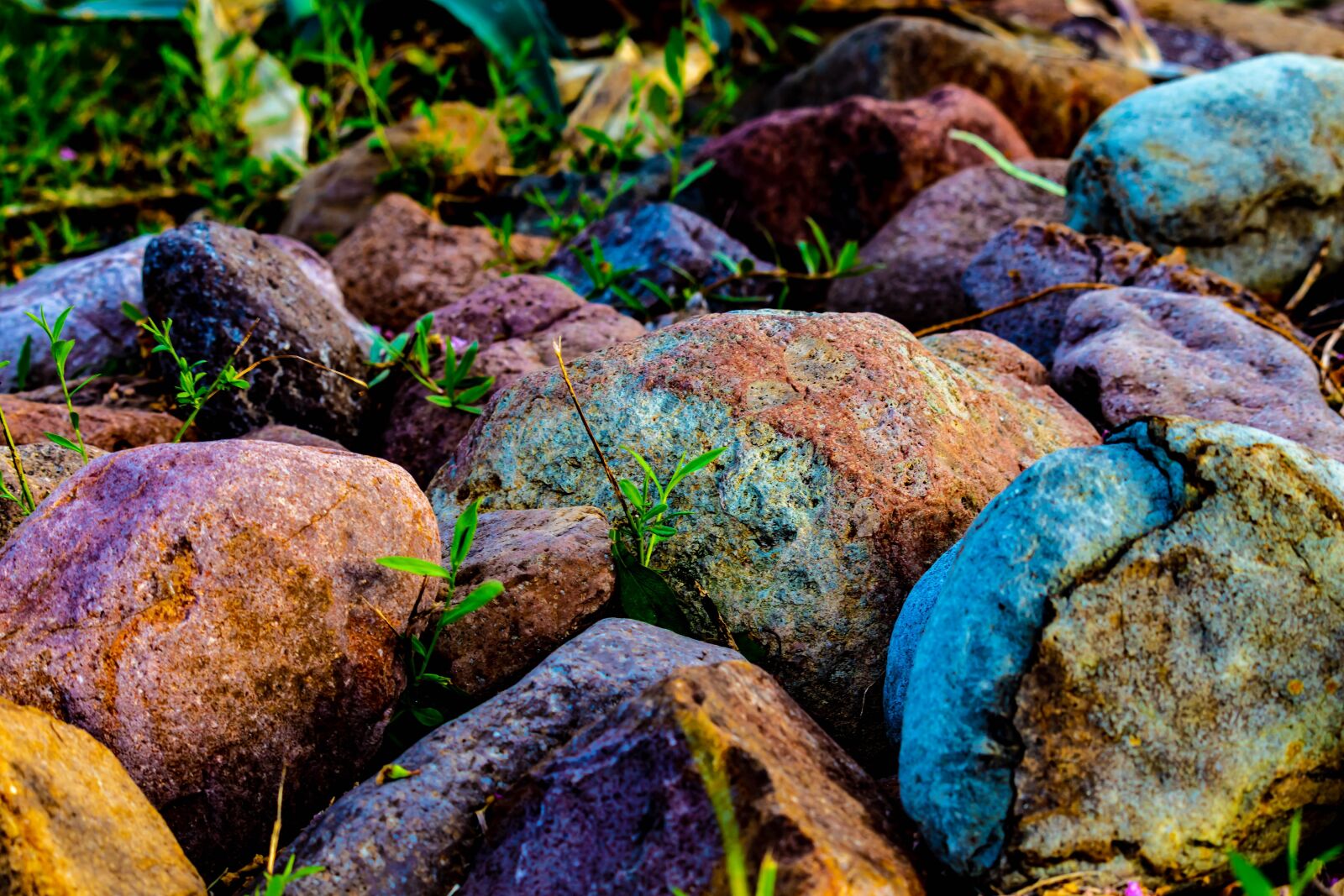Canon EOS 200D (EOS Rebel SL2 / EOS Kiss X9) sample photo. Stones, rocks, colorful photography