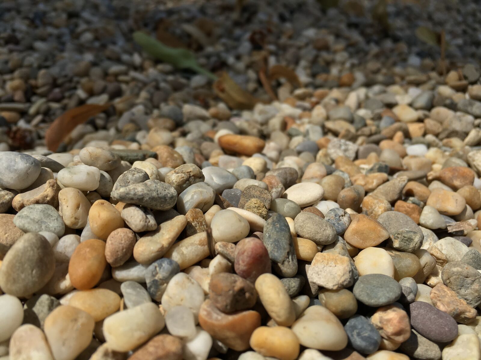 Apple iPhone 6s sample photo. Small, rock photography